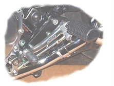 newbonrearset.JPG